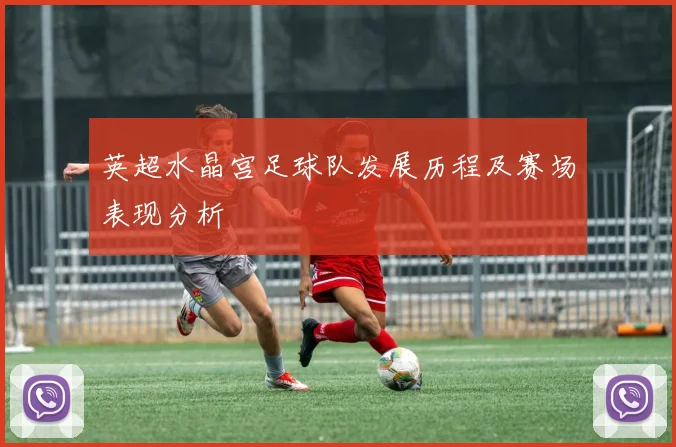 英超水晶宫足球队发展历程及赛场表现分析
