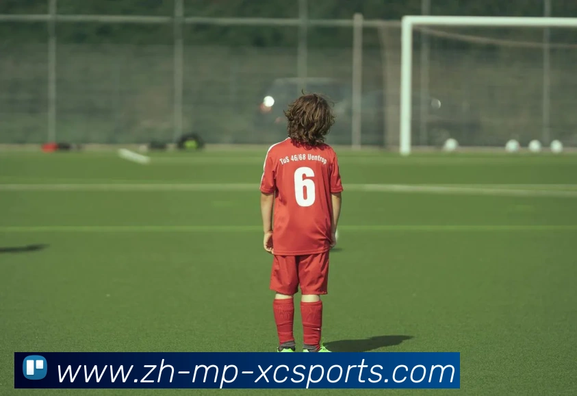 杏彩体育平台生态图