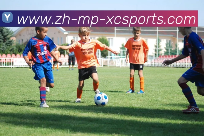 辅助工具 辅助工具